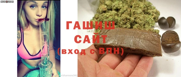 шишки Осташков