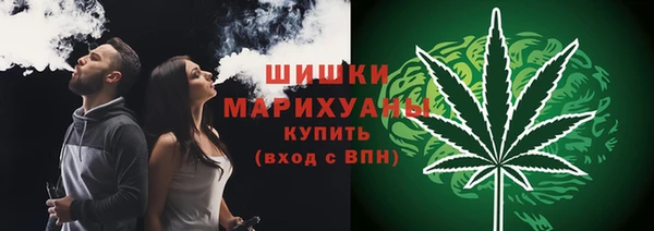 шишки Осташков
