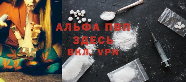 шишки Осташков