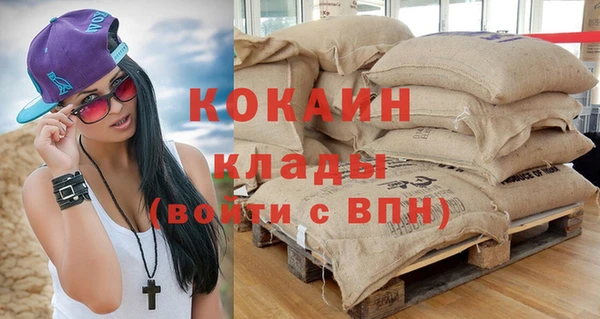 шишки Осташков