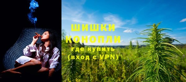 шишки Осташков
